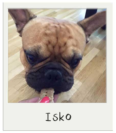 Isko